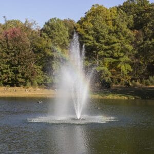 BEARON AQUATICS OLYMPUS FOUNTAIN - 1.5 HP